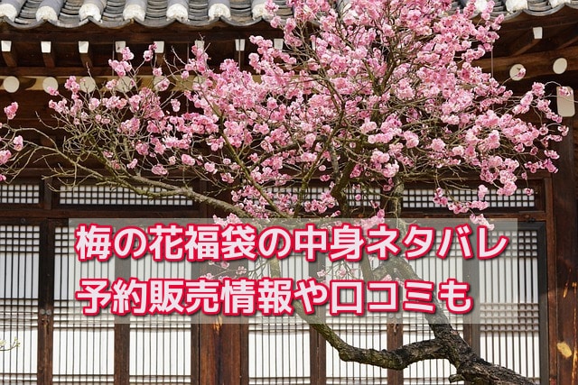 梅の花福袋の中身ネタバレ!予約販売情報や口コミも紹介!